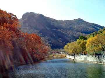 新澳天天开奖资料大全旅游团，设计合同纠纷